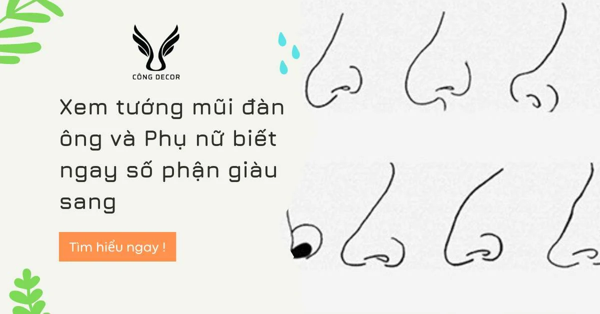 Làm sao để nhận biết và phân loại tướng mũi gãy trong nhân tướng học?
